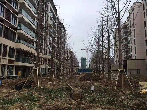 蔚蓝四季